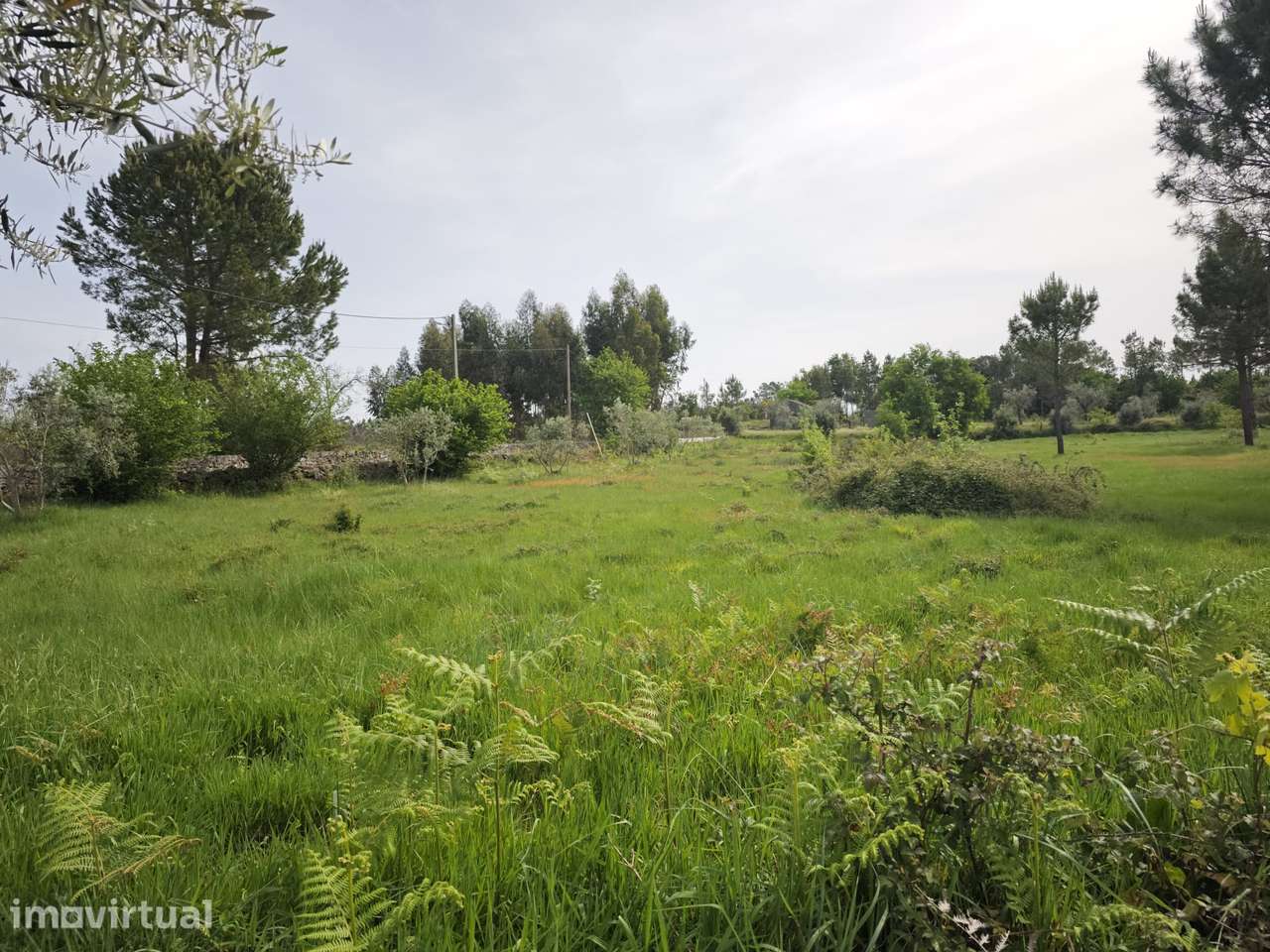 Terreno urbano em Mangualde - Grande imagem: 4/9