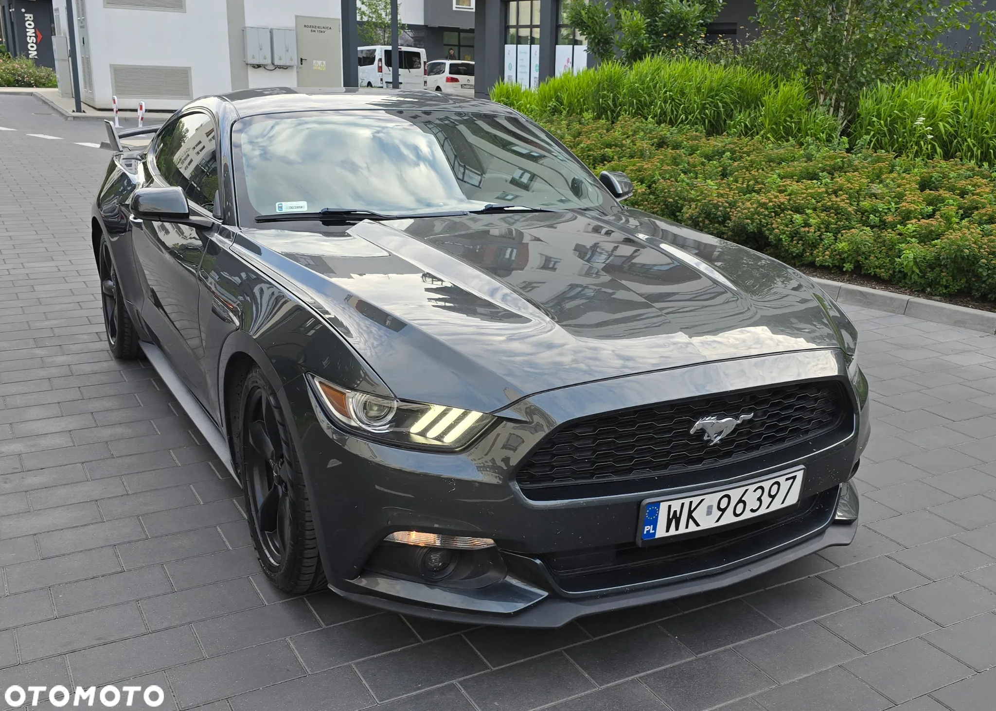 Ford Mustang - 6