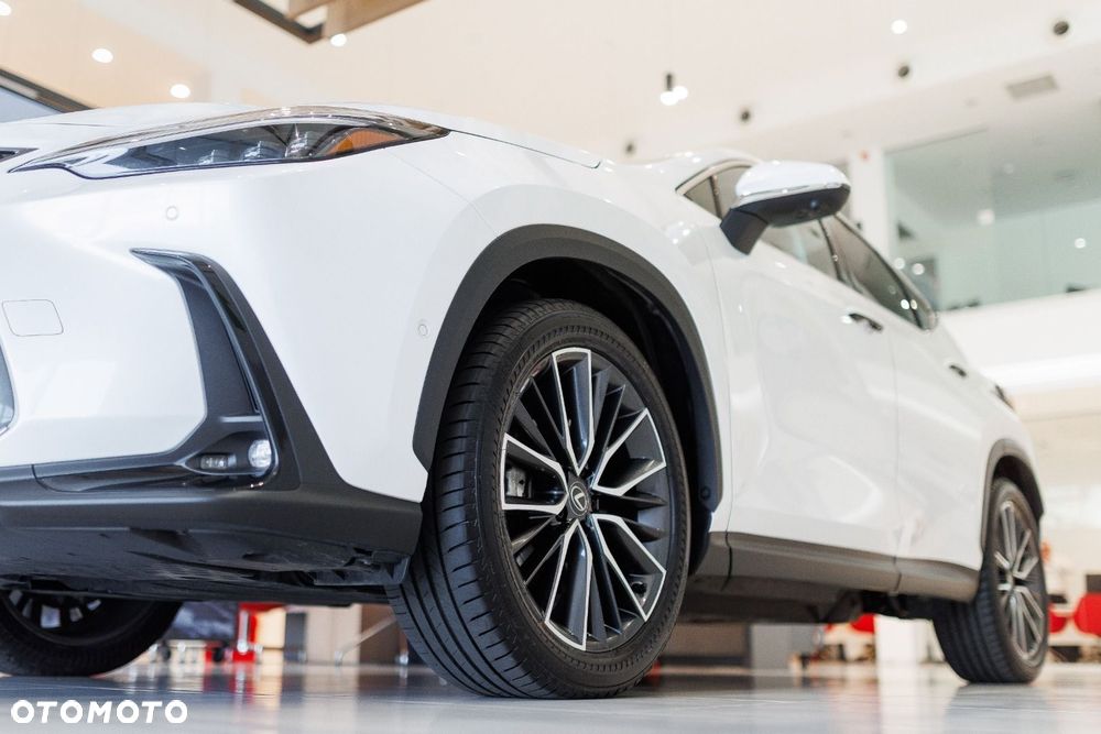 Lexus NX - 20