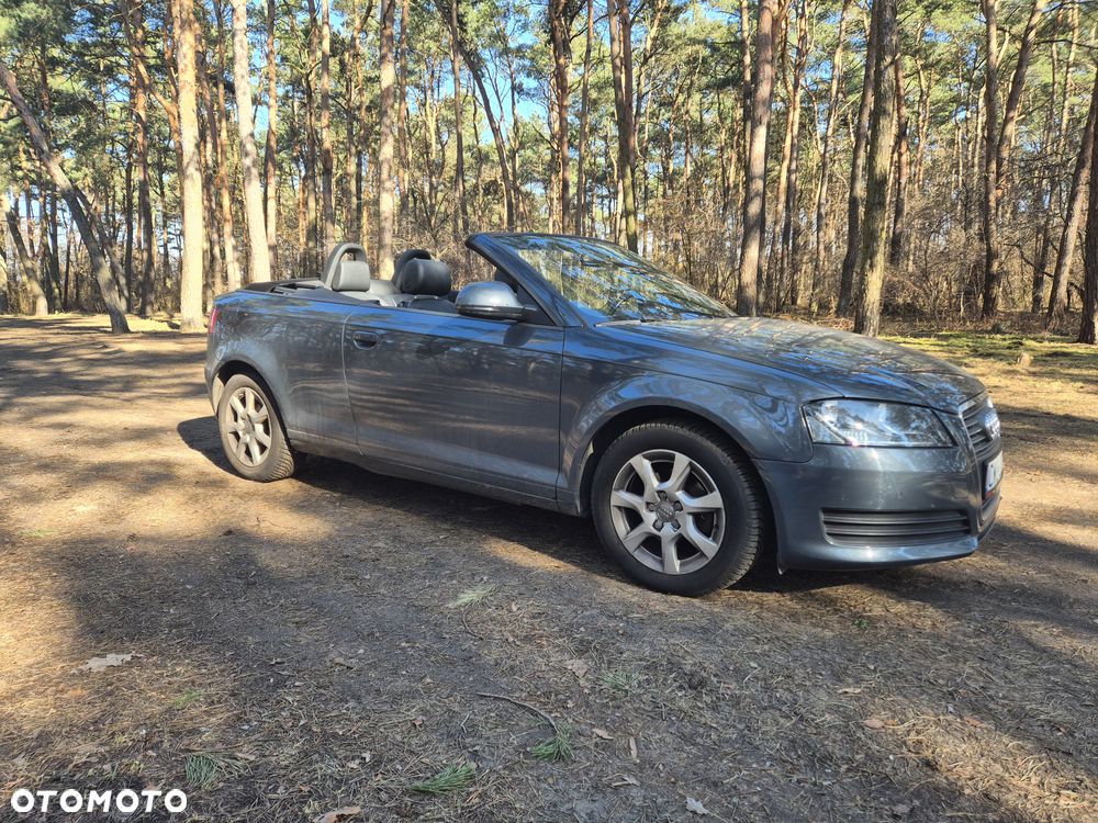 Audi A3 Cabrio 1.6 Attraction - 13