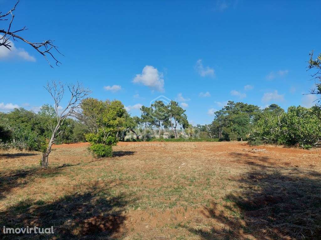 Quinta, Silves, Alcantarilha e Pêra, Algarve - Grande imagem: 3/48