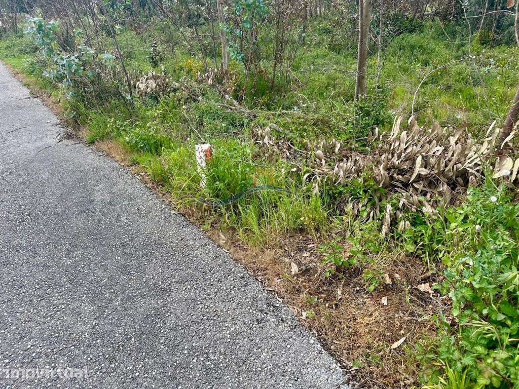 Terreno - Monte Real - Grande imagem: 5/14