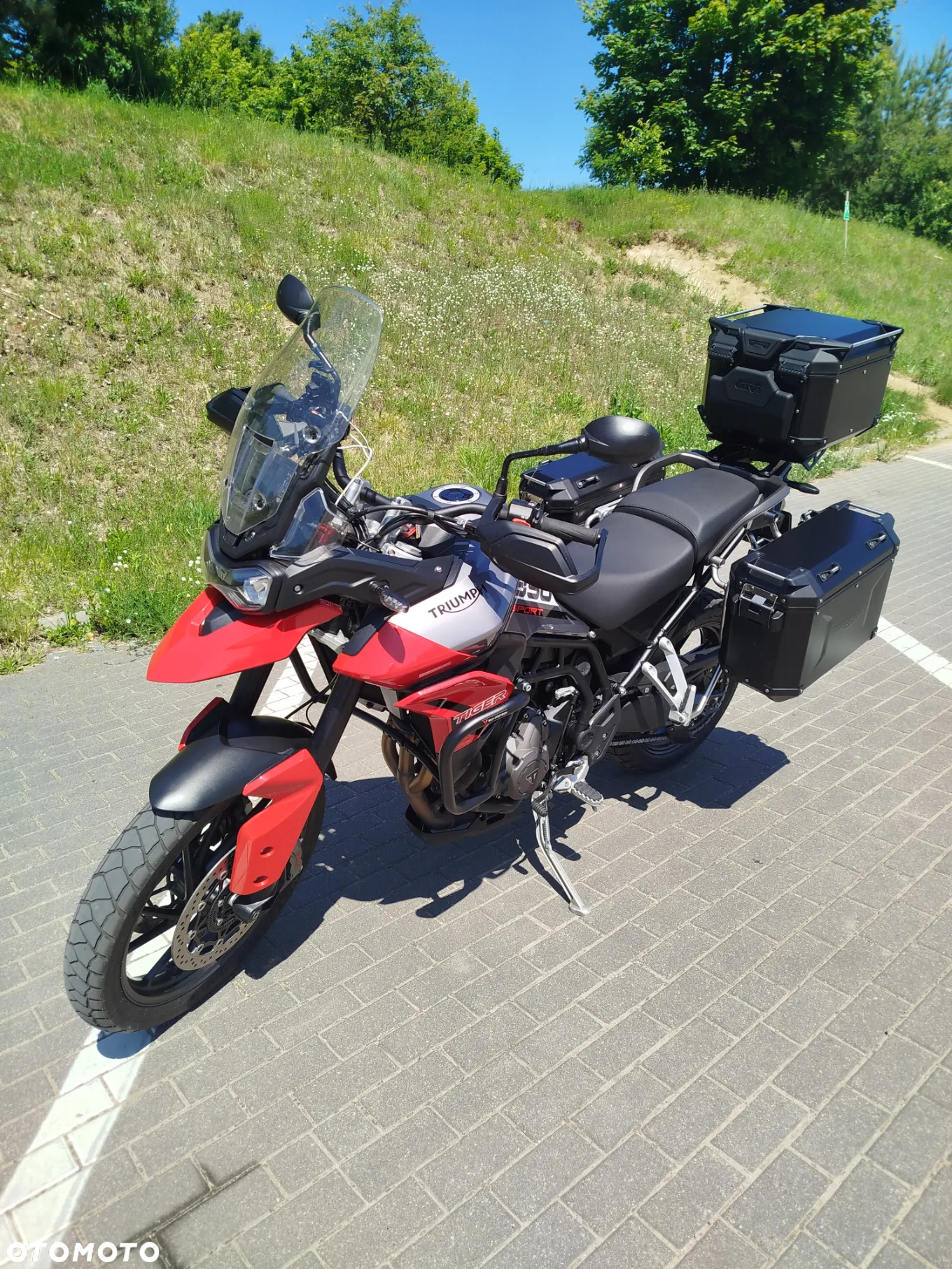 Triumph Tiger - 12
