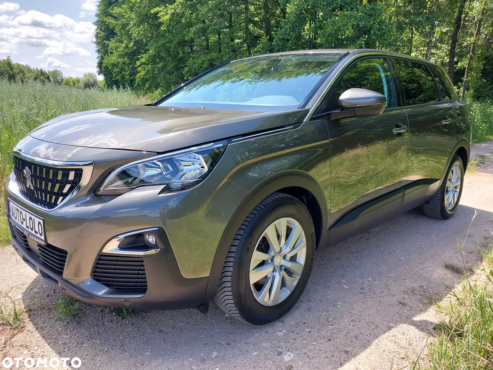 Peugeot 5008 - 3