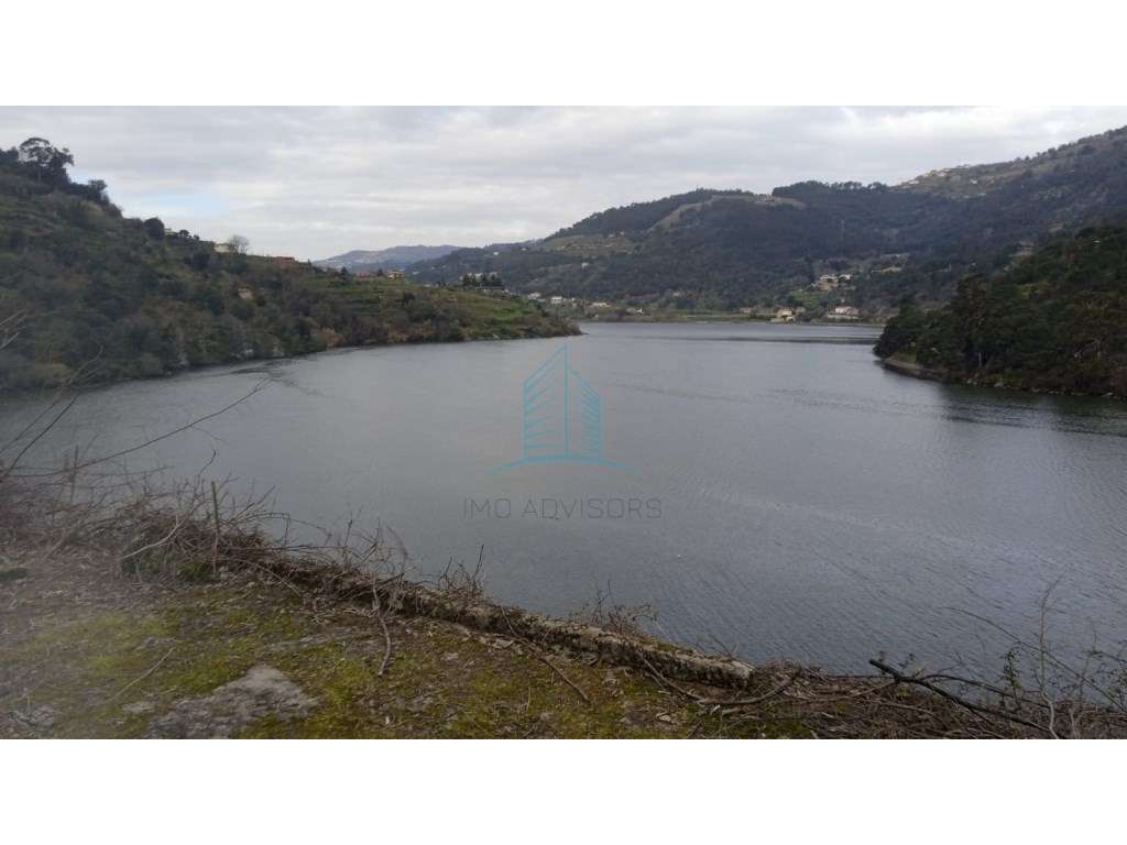 Quinta no Douro - Grande imagem: 5/16