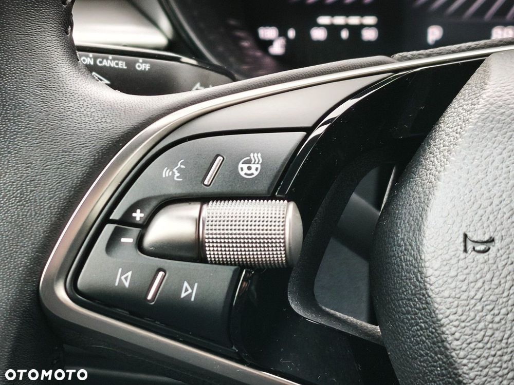 Skoda Fabia 1.0 TSI Edition 130 DSG - 22