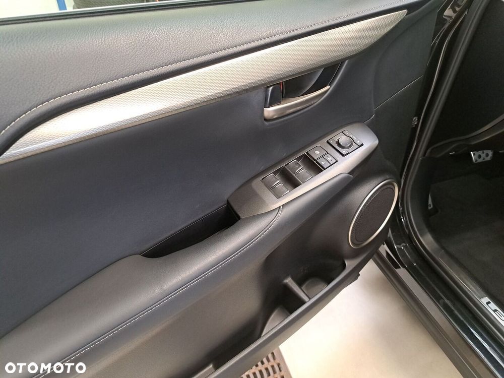 Lexus NX 300 GPF F Sport Edition AWD - 19