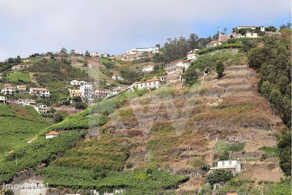 Moradia por recuperar inserido num terreno com a área de 3692 m2 - Grande imagem: 2/13
