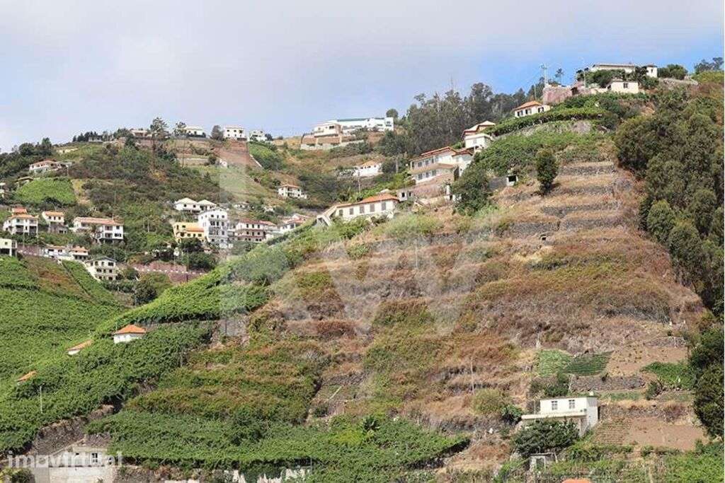 Moradia por recuperar inserido num terreno com a área de 3692 m2 - Grande imagem: 2/13