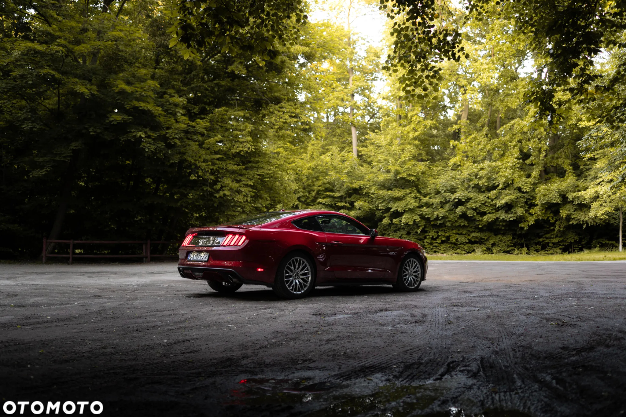 Ford Mustang 5.0 V8 GT - 24
