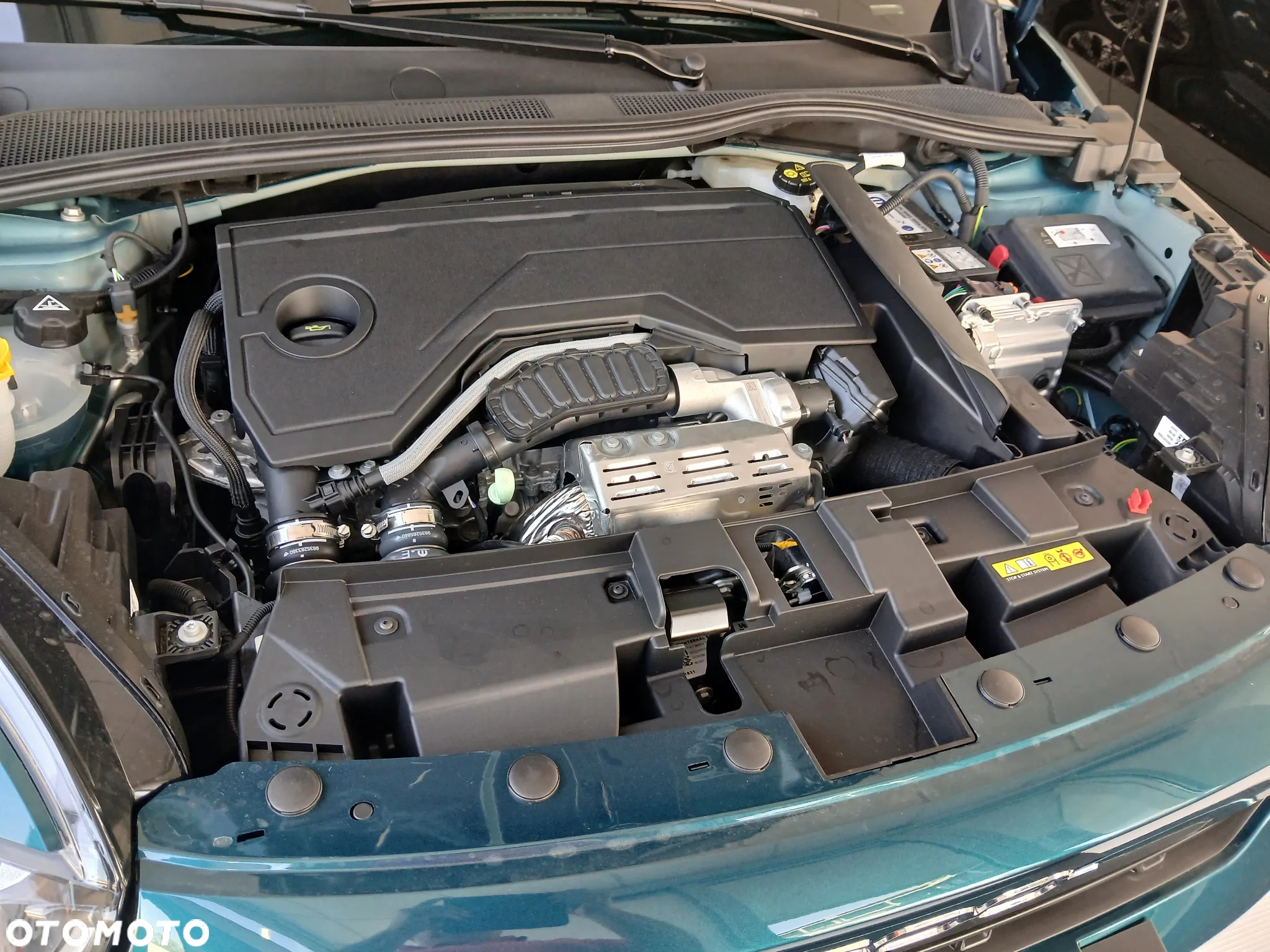 Fiat 600 1.2 Turbo Hybrid eDCT - 21
