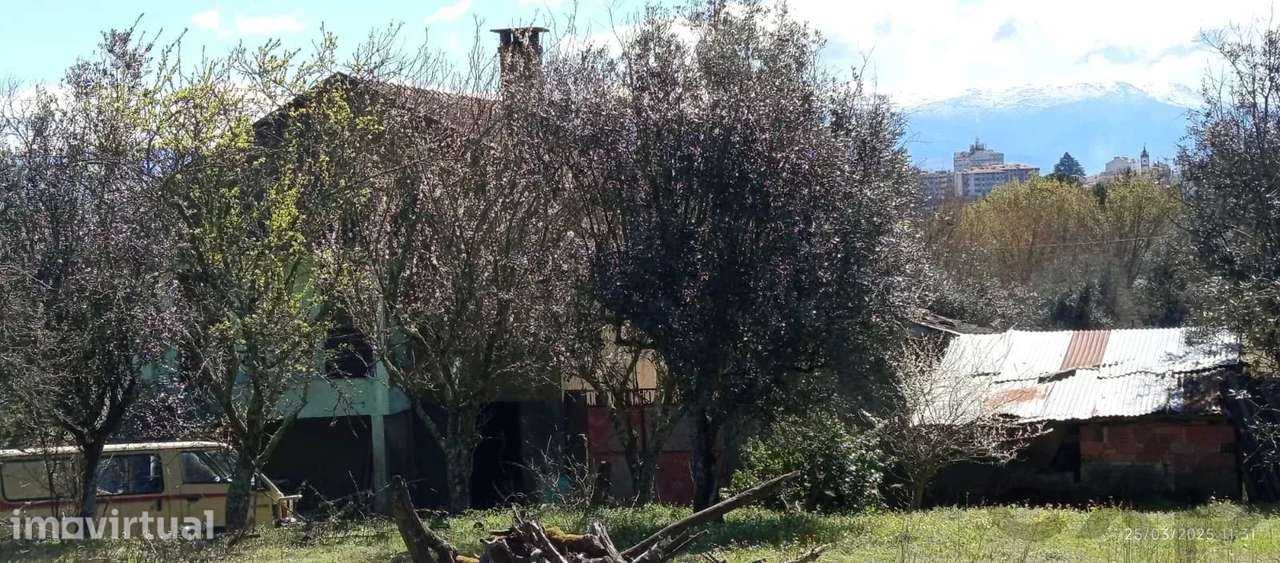 Quintinha com 4 assoalhadas e poço em Cota, Portugal - Grande imagem: 2/28