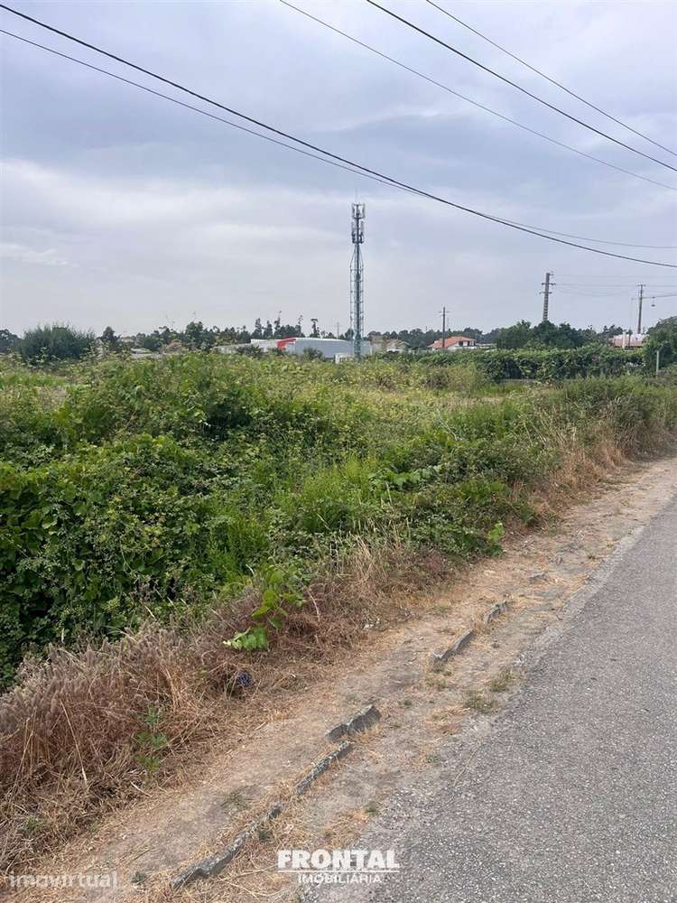 Terreno Para Venda – 6.000 m² | Localização Estratégica junto ao Aerop - Grande imagem: 5/9
