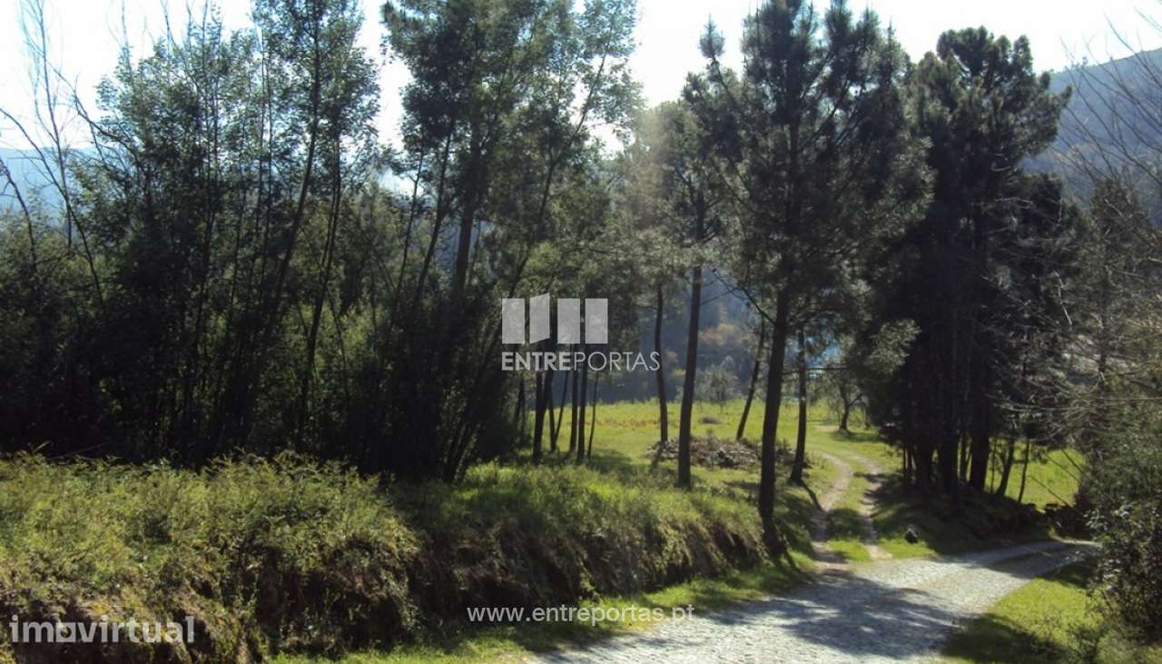 Venda Terreno, Mesquinhata, Baião - Grande imagem: 2/23