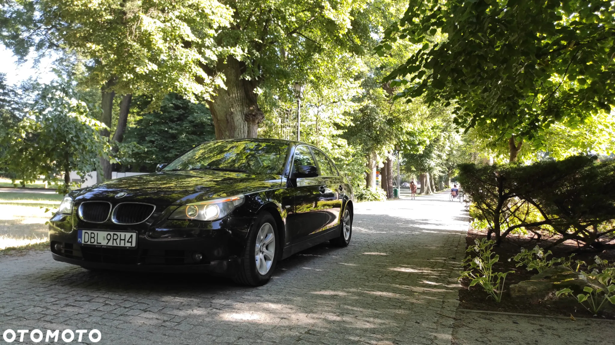BMW Seria 5 520d - 16
