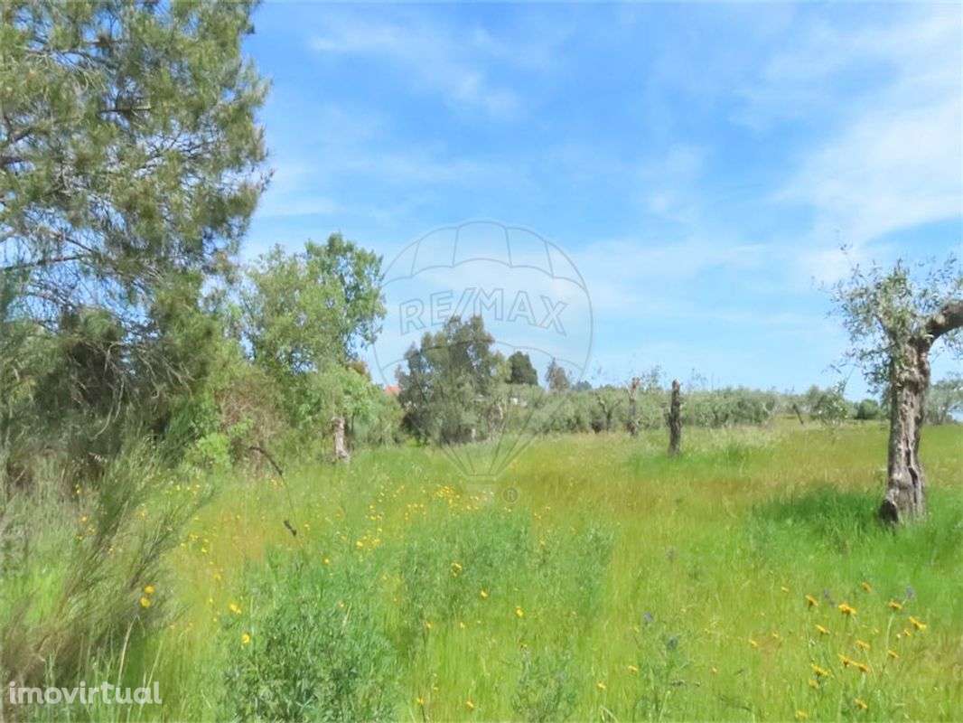 Quinta  para venda - Grande imagem: 3/12