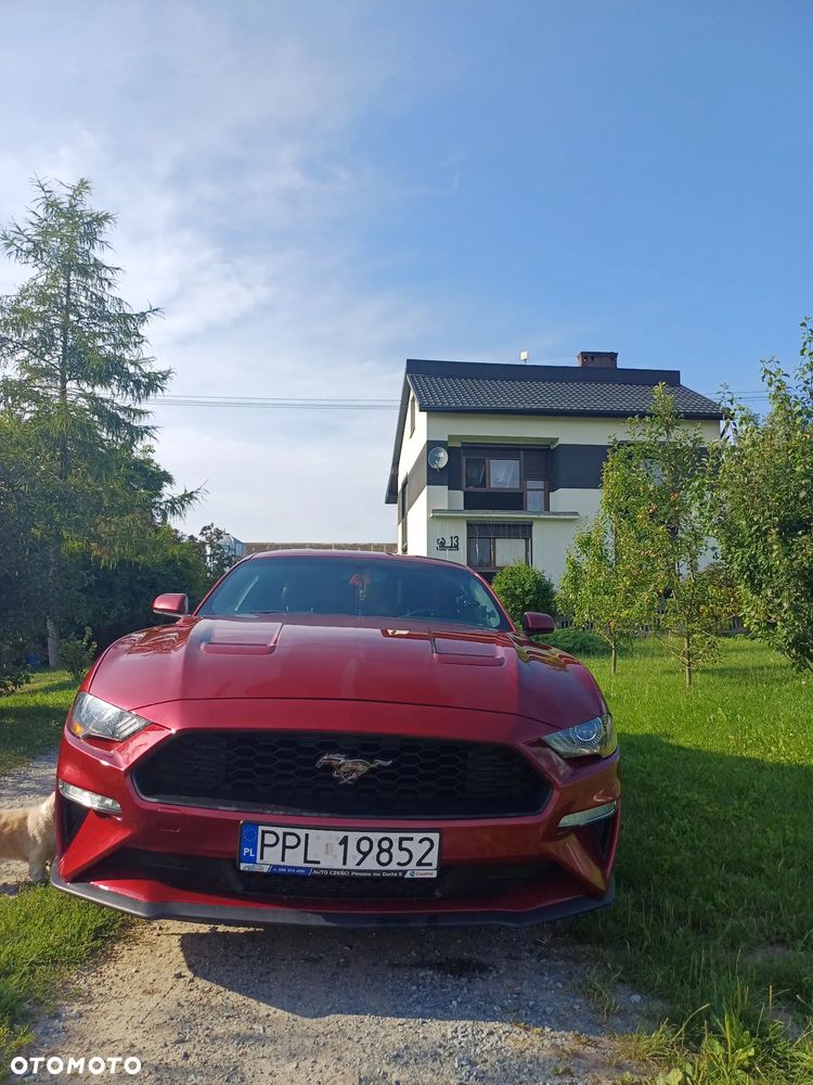 Ford Mustang - 2