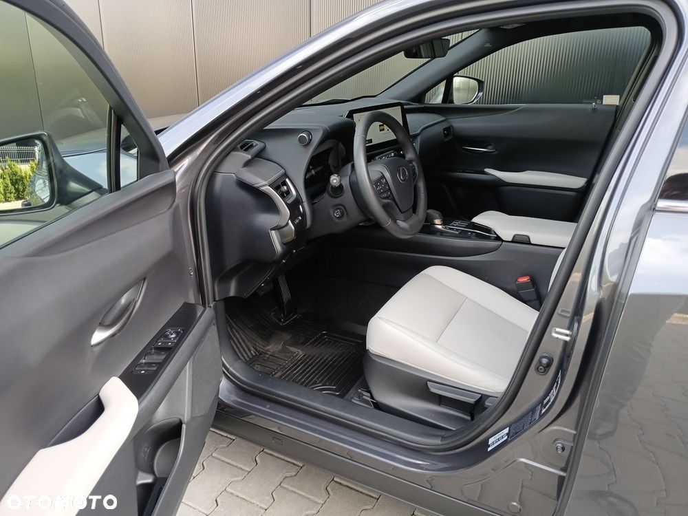Lexus UX 300h F Sport Design AWD - 10