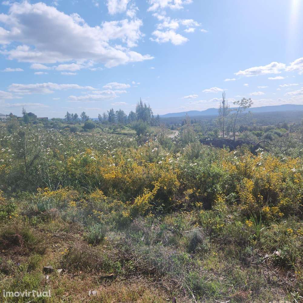 Terreno Rústico com 4000m2, Retaxo, Castelo Branco - Grande imagem: 5/10