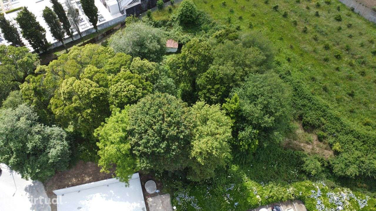 Terreno – Sever do Vouga - Grande imagem: 2/18