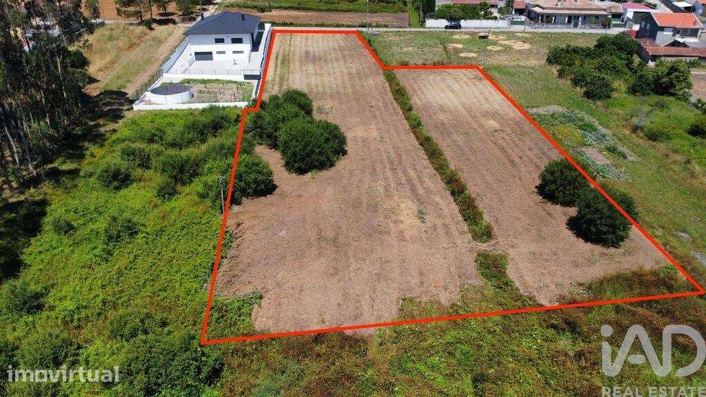 Terreno Agrícola em Oiã - Grande imagem: 2/10
