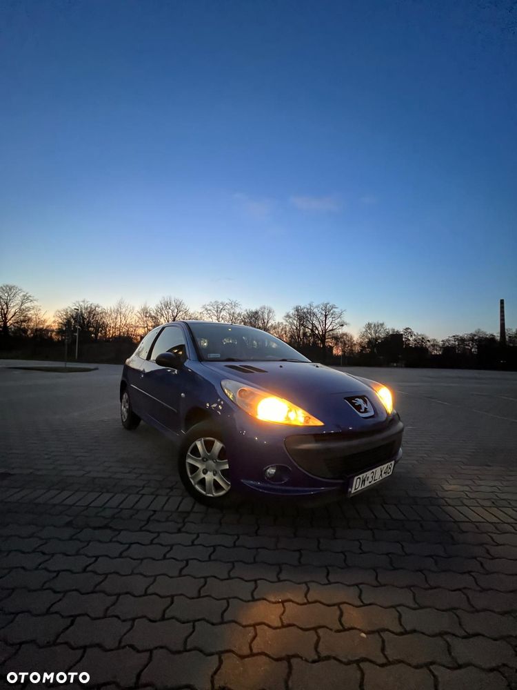 Peugeot 206 plus - 6