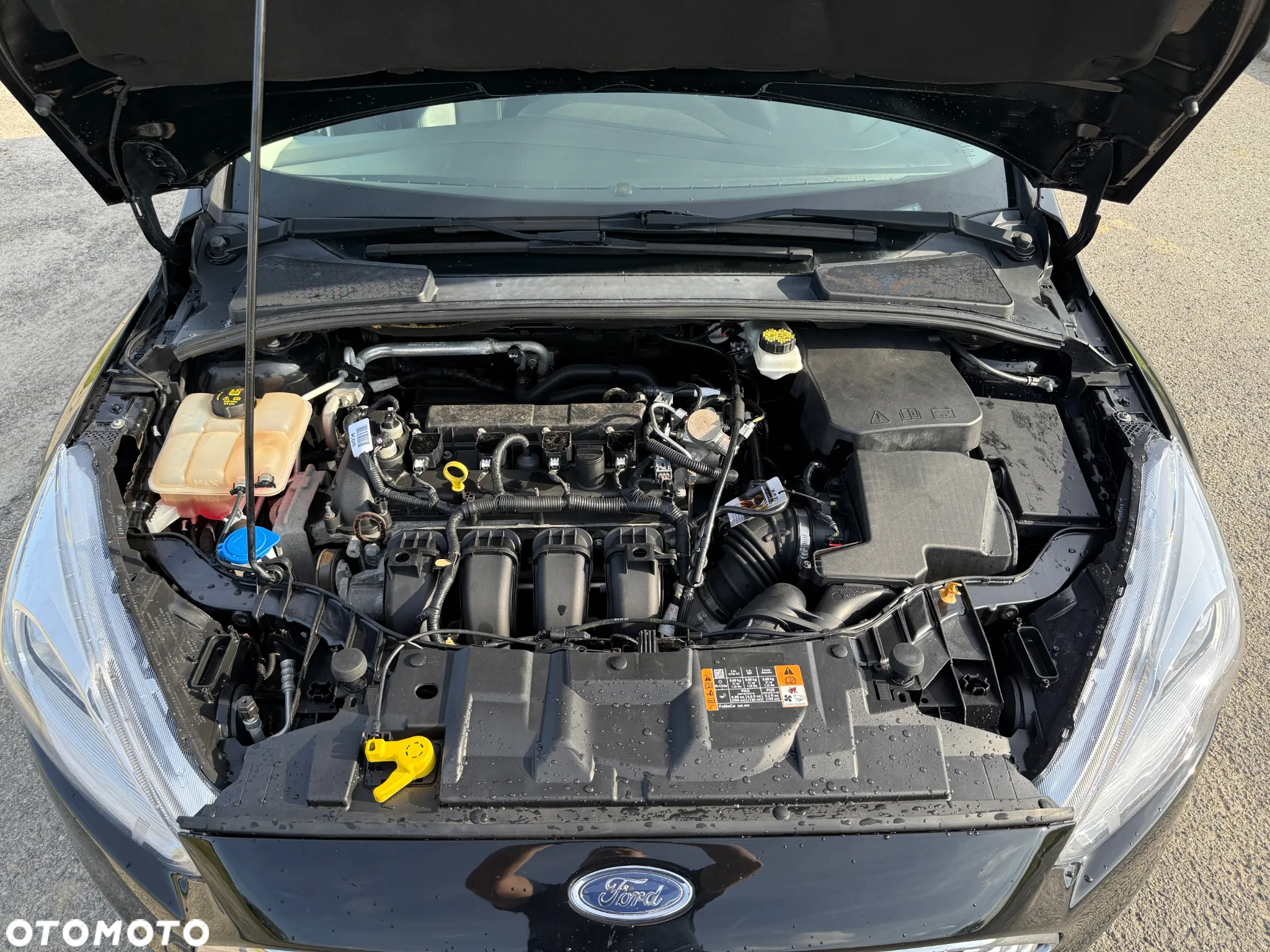 Ford Focus - 16