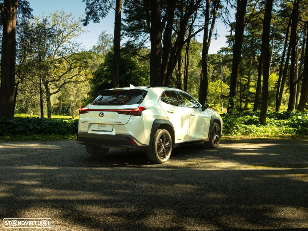 Lexus UX 250h Special Edition (LCA) - 8