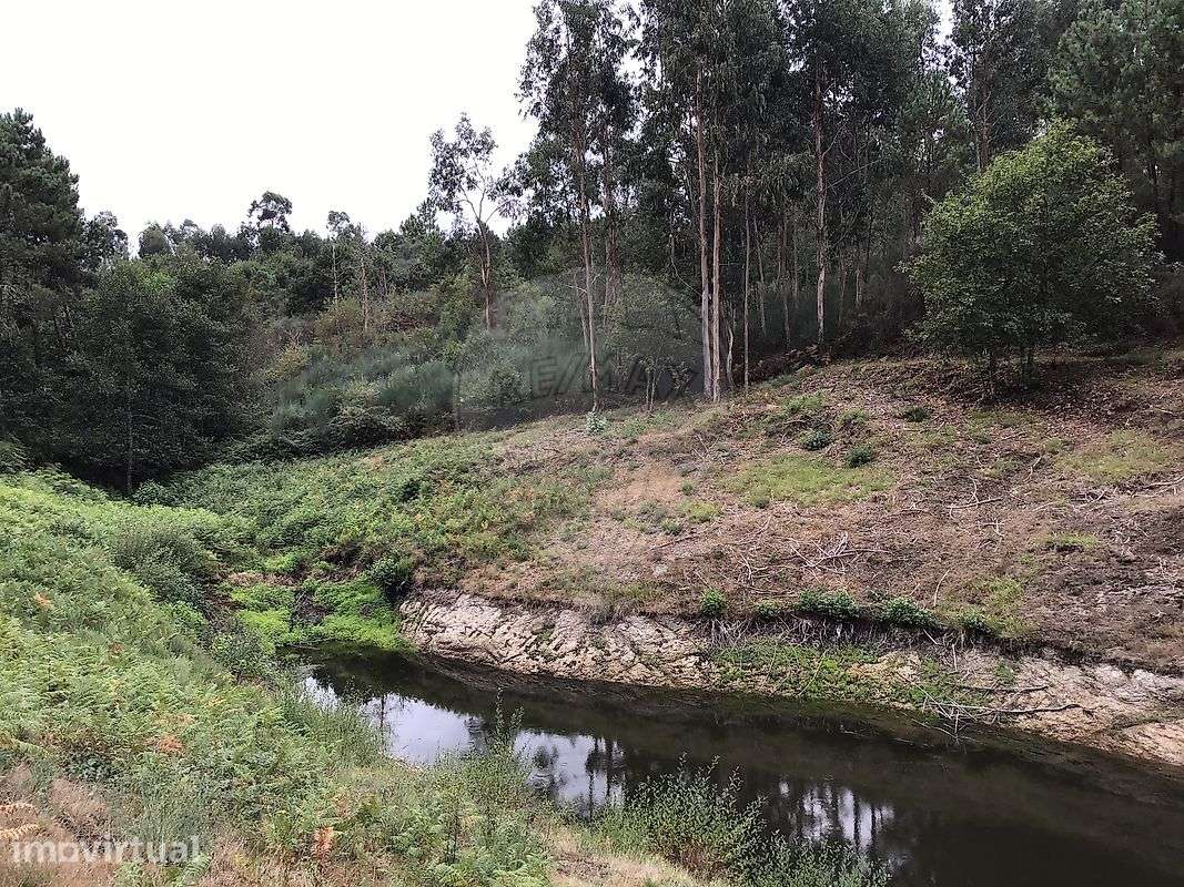 Terreno  para venda - Grande imagem: 3/14