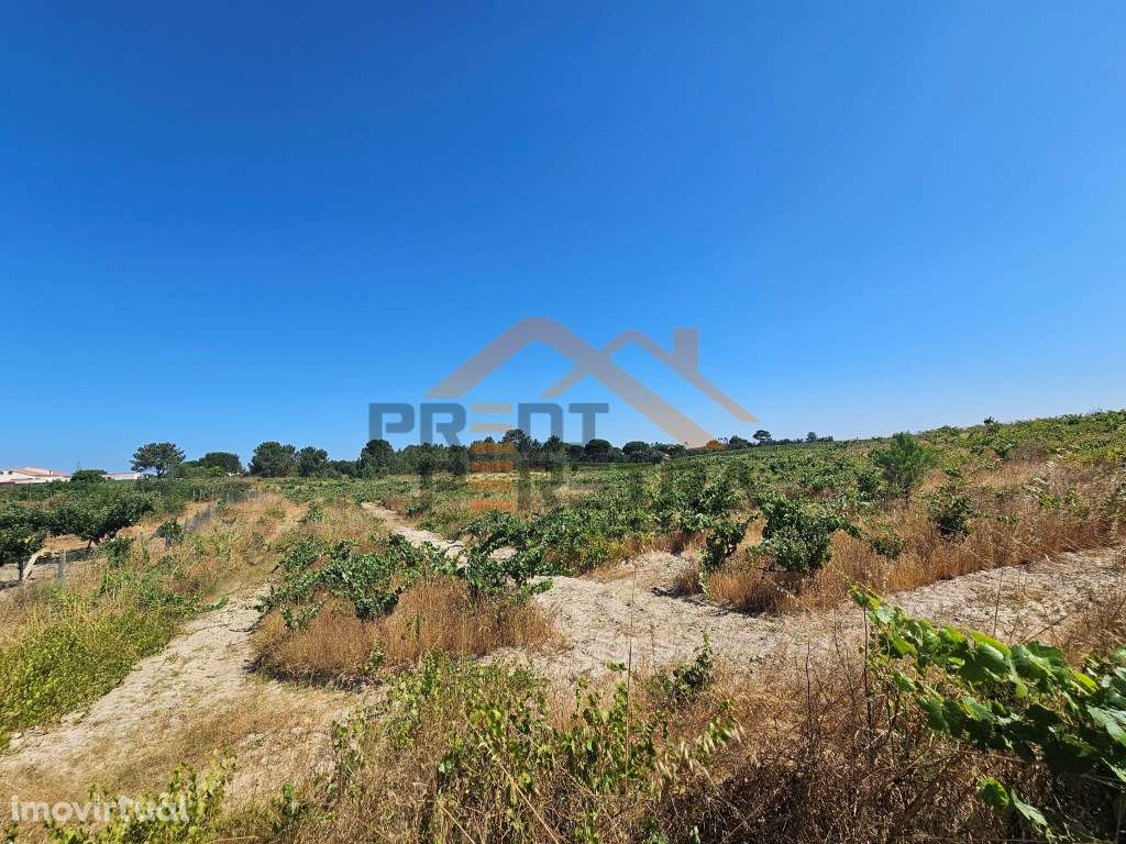 Oportunidade Única no concelho de Palmela, freguesia de Poceirão e ... - Grande imagem: 4/10