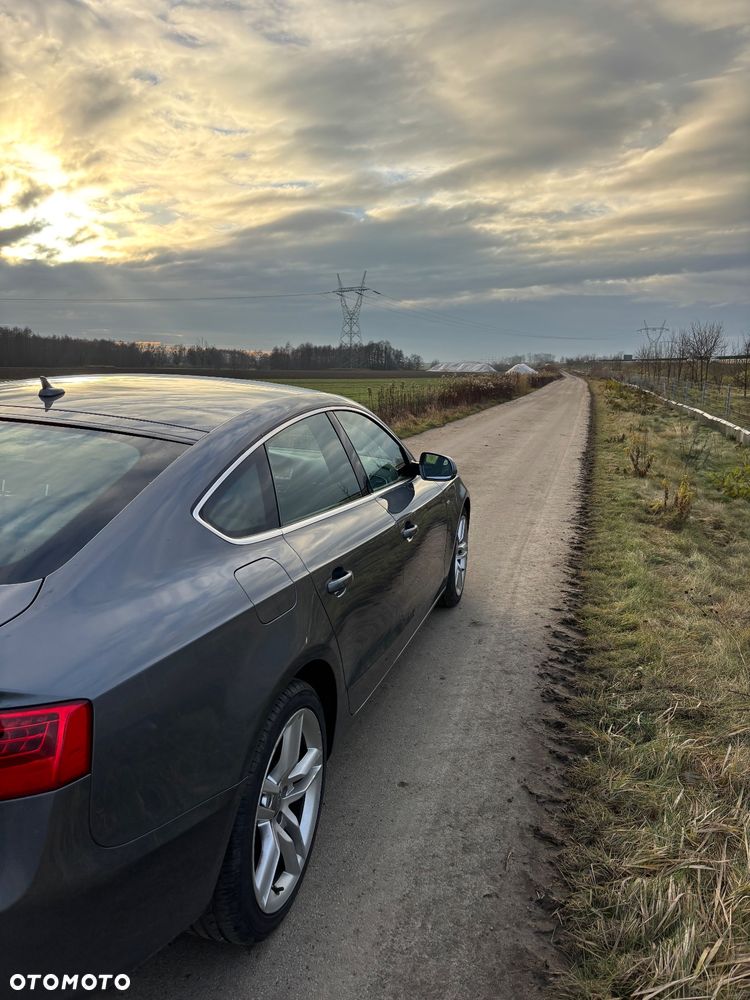 Audi A5 Sportback 3.0 TDI quattro DPF - 4