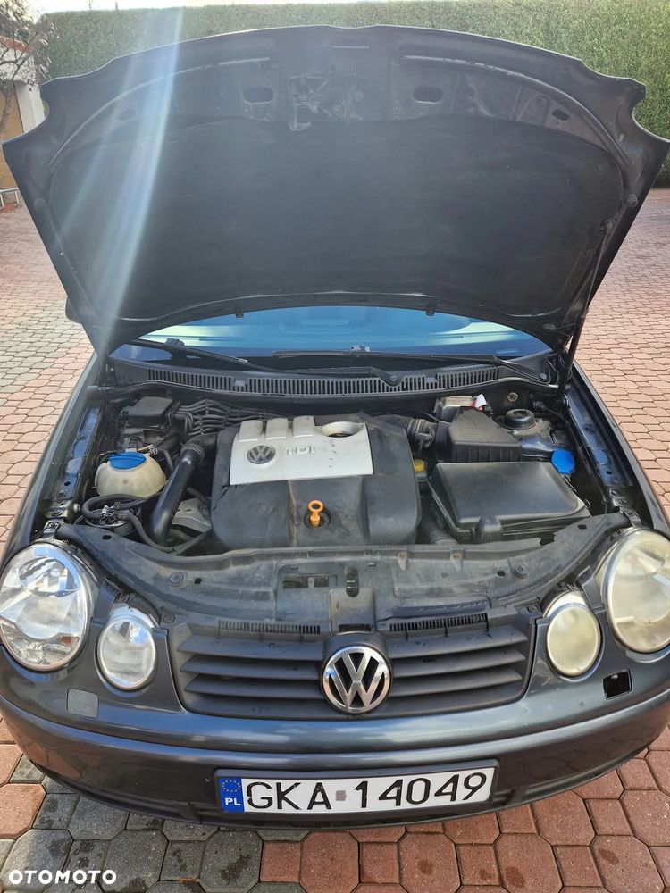 Volkswagen Polo - 16