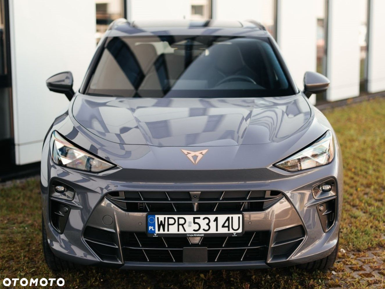 Cupra Terramar - 4