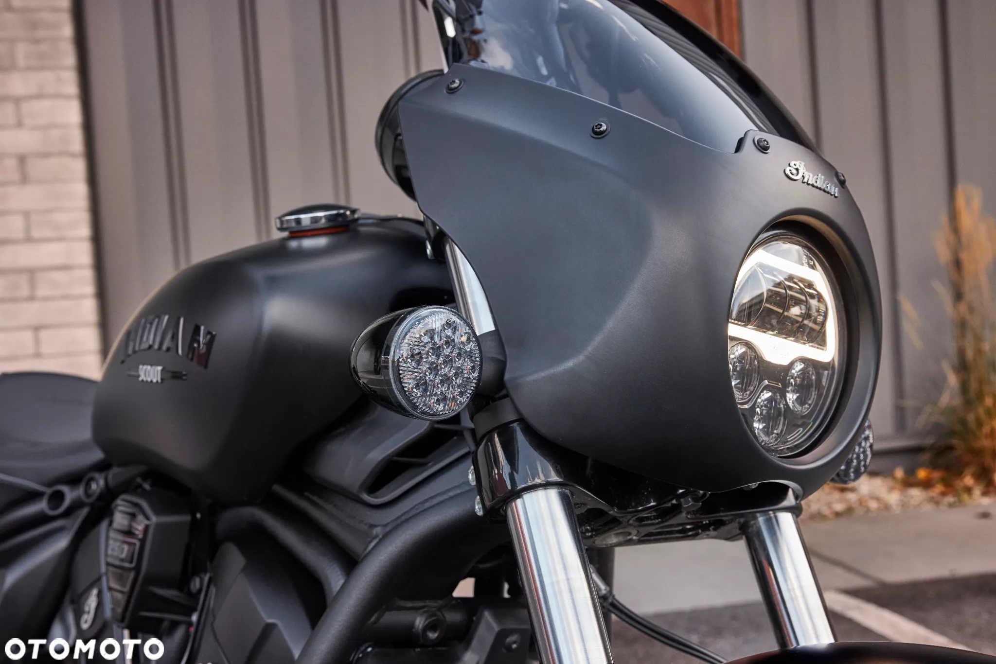 Indian Scout - 7