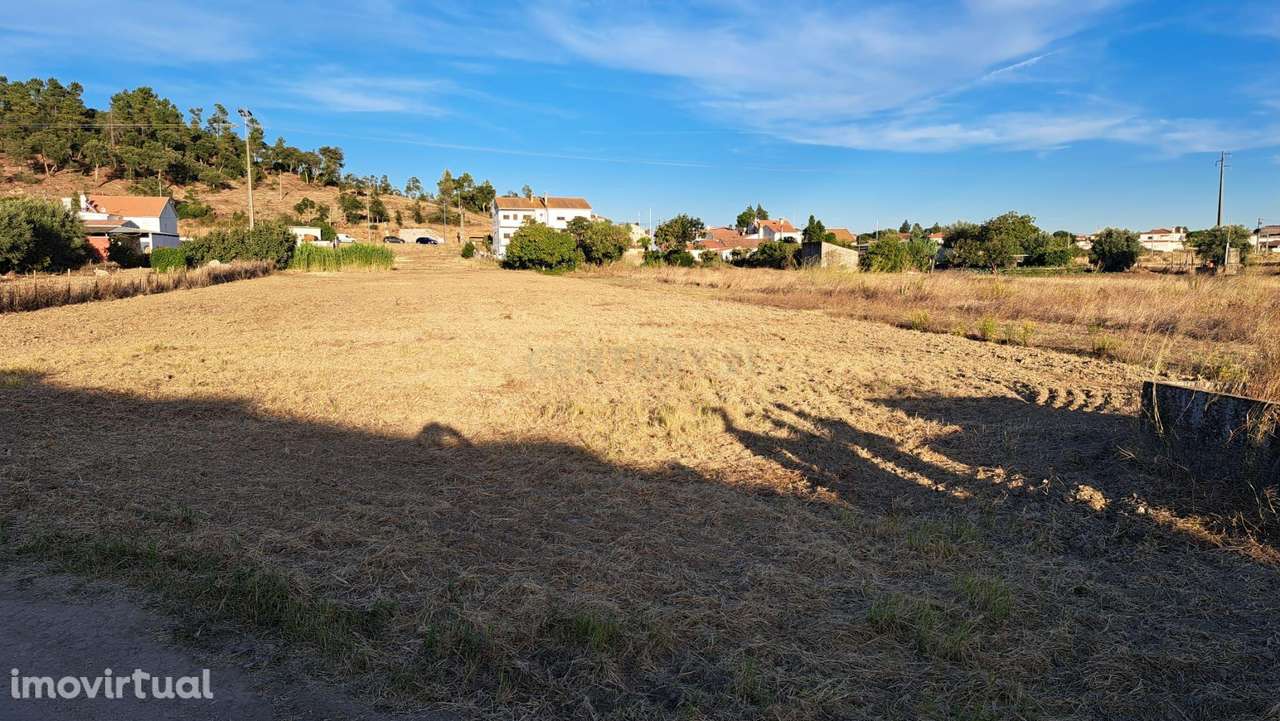 Terreno  Rústico em Riachos, Torres Novas - 4975m² - Grande imagem: 5/6