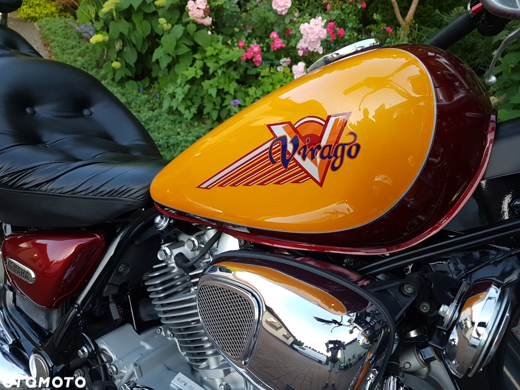 Yamaha Virago - 12