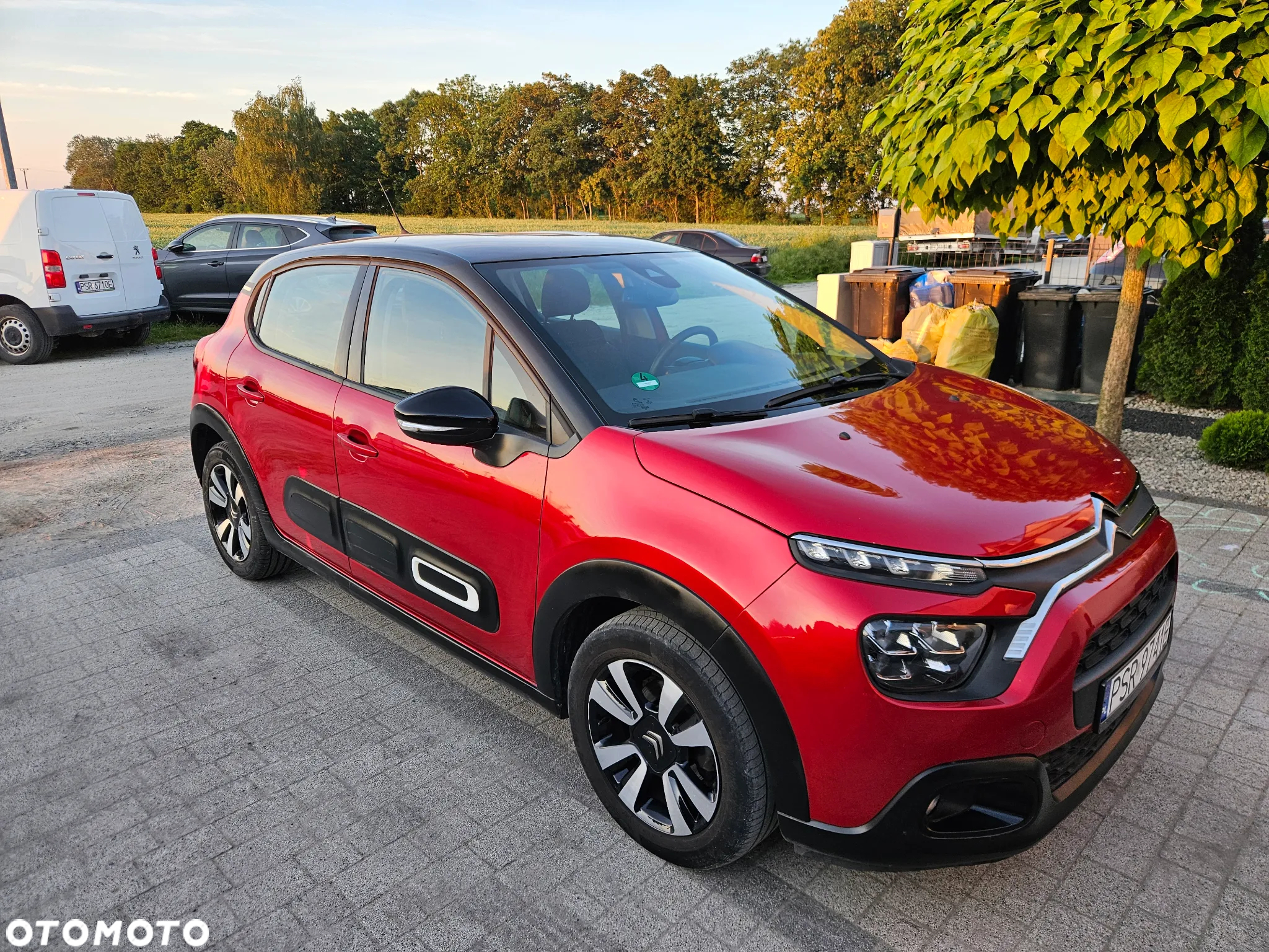 Citroën C3 Pure Tech 110 S&S SHINE - 11