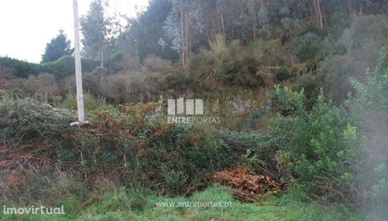 Terreno para venda, Vilarelho, Caminha - Grande imagem: 2/4