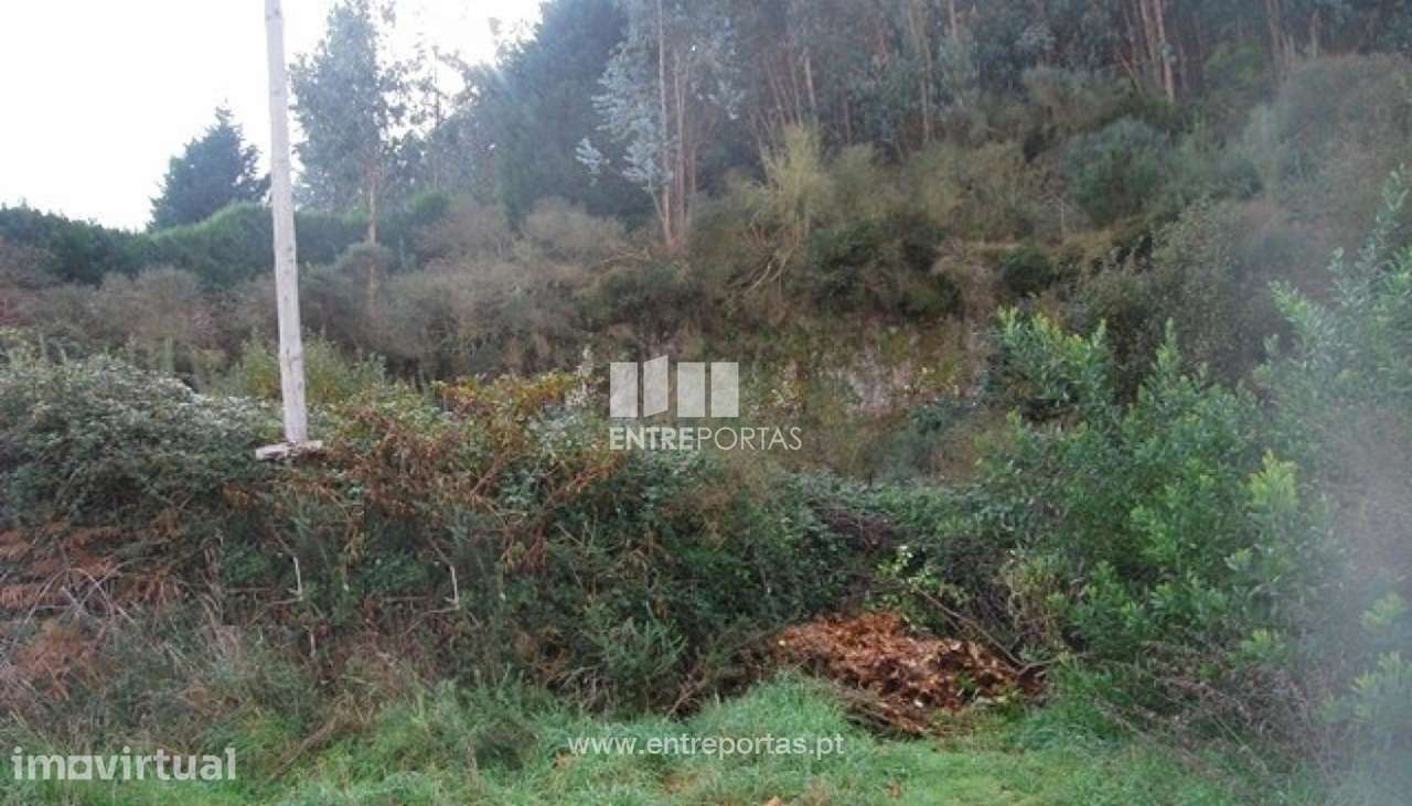 Terreno para venda, Vilarelho, Caminha - Grande imagem: 2/4