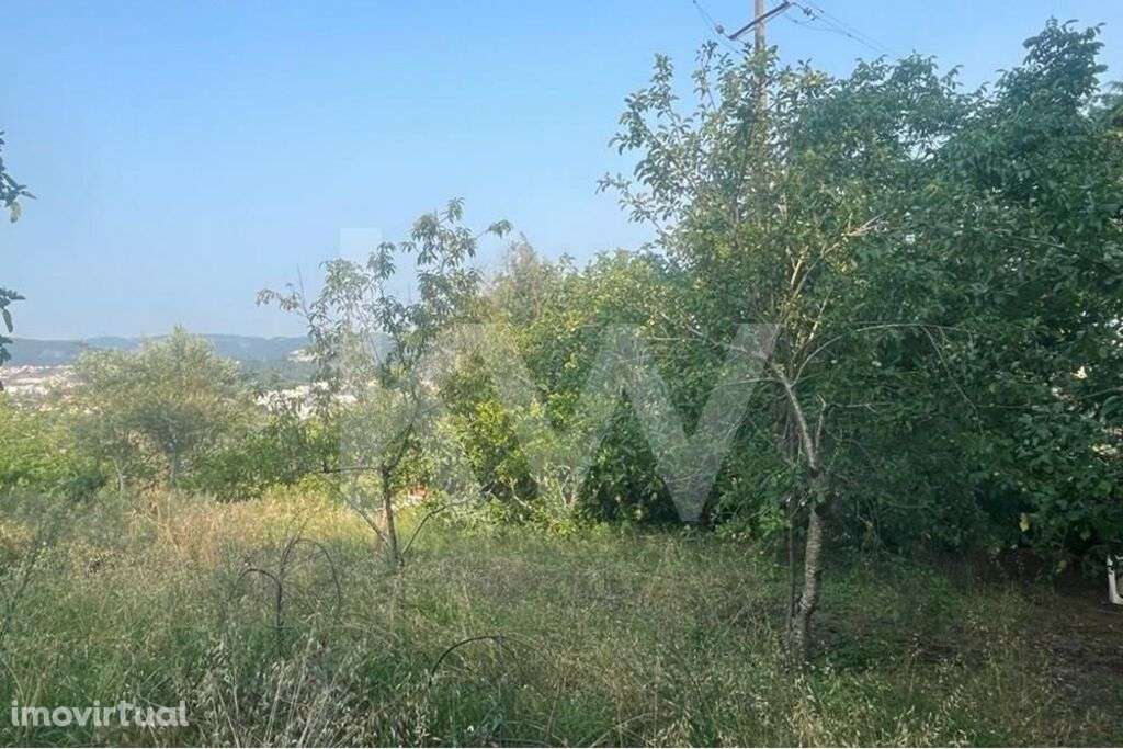 Terreno com viabilidade de construção| Banhos Secos| Santa Clara| Vist - Grande imagem: 5/15