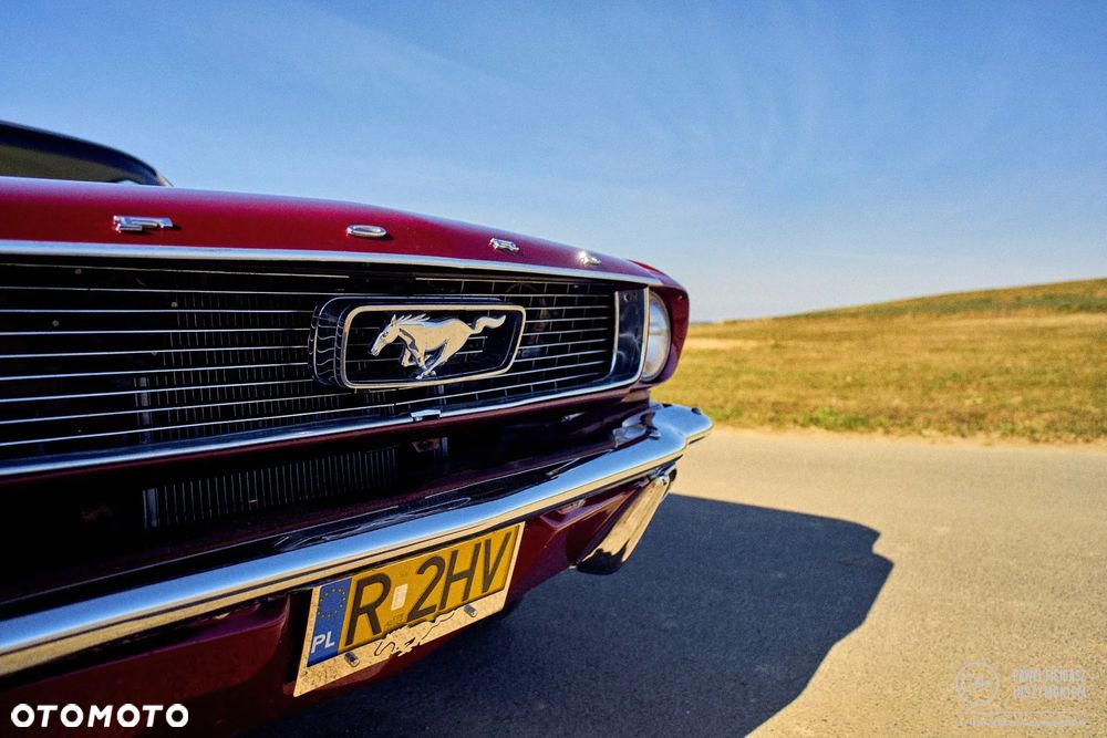 Ford Mustang - 15