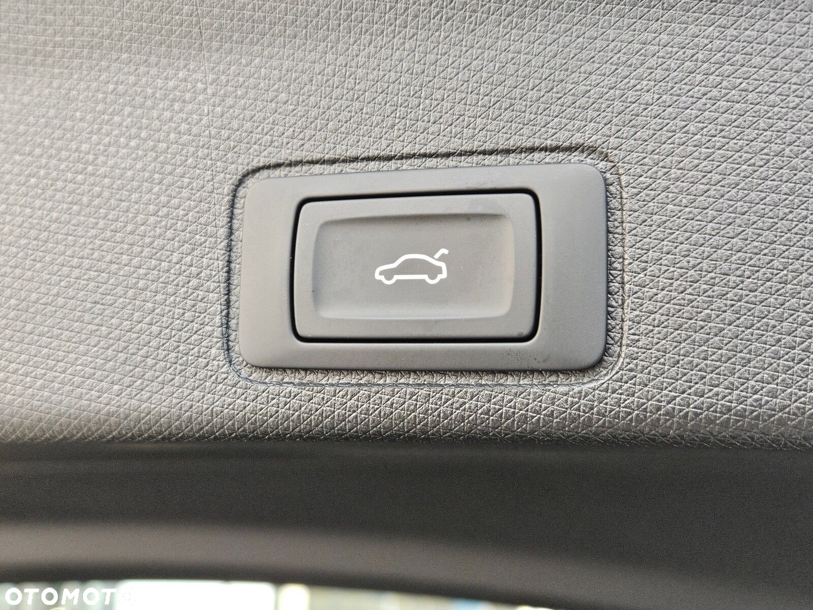 Cupra Terramar - 23