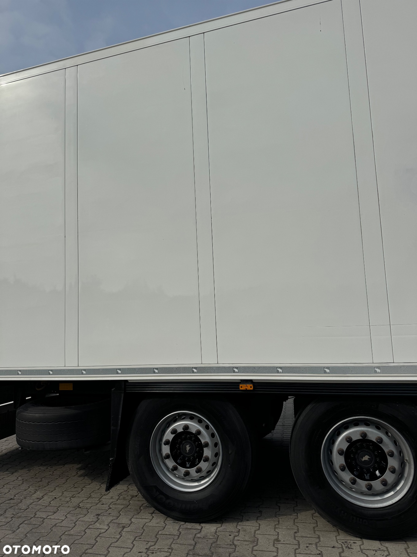 Schmitz Cargobull - 5