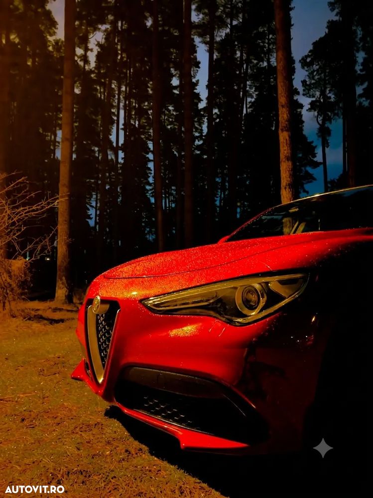 Alfa Romeo Stelvio 2.0 Turbo AWD AT8 First Edition - 2