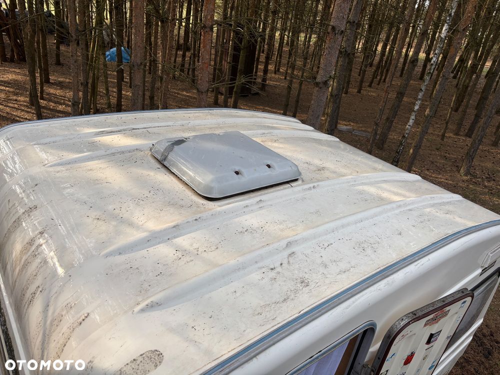 Niewiadów N126 - 10