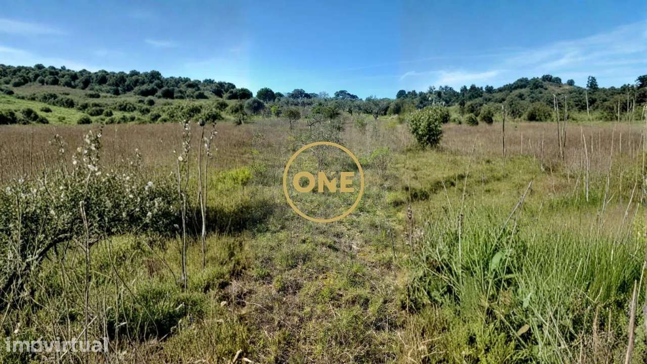 Terreno Rústico | 7440m2 | Lamarosa - Grande imagem: 4/9