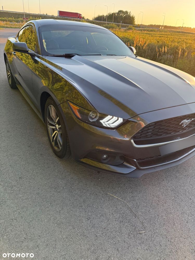 Ford Mustang 2.3 EcoBoost - 19