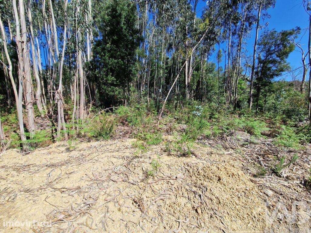 Terreno para construção em Nogueira, Meixedo e Vilar de Murteda de 291 - Grande imagem: 2/26