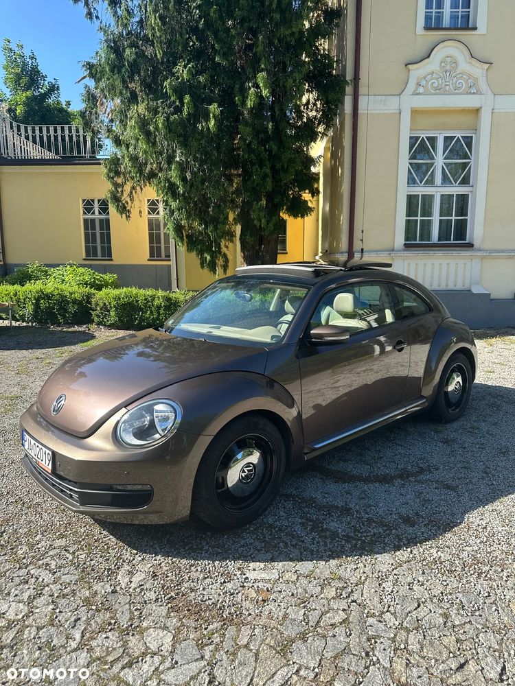Volkswagen Beetle - 3