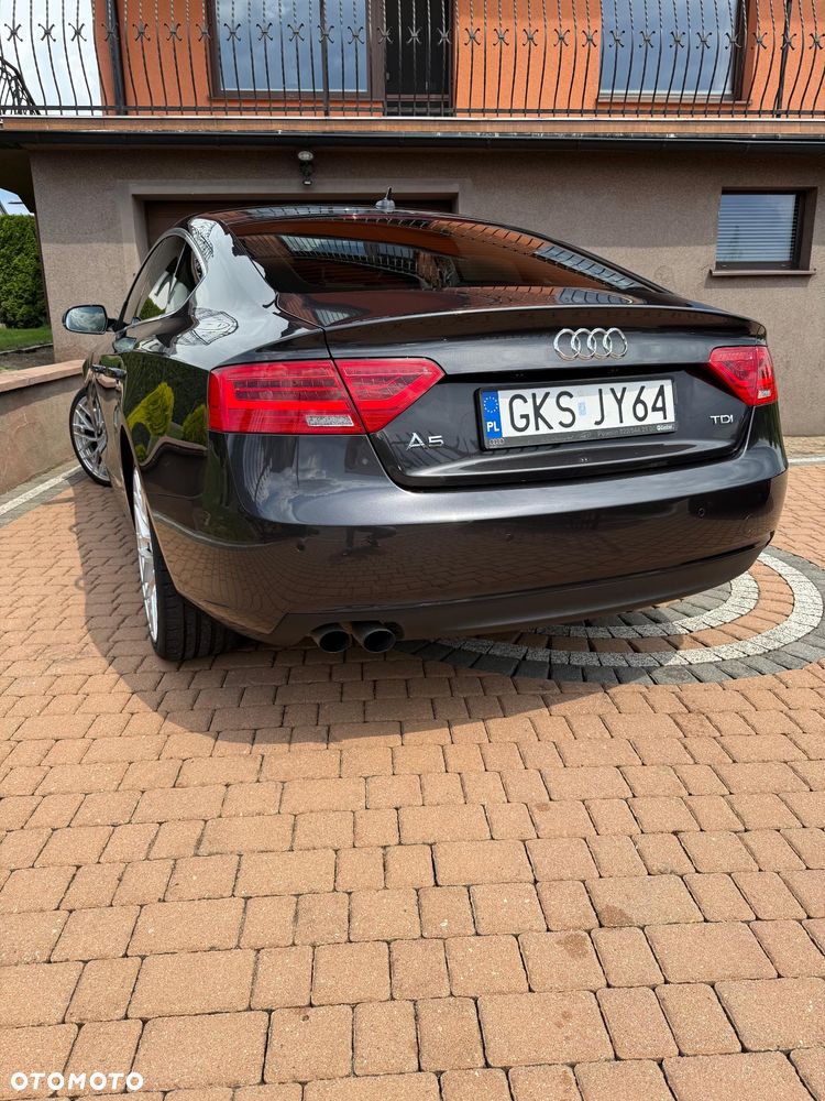 Audi A5 Sportback 2.0 TDI Multitronic - 14
